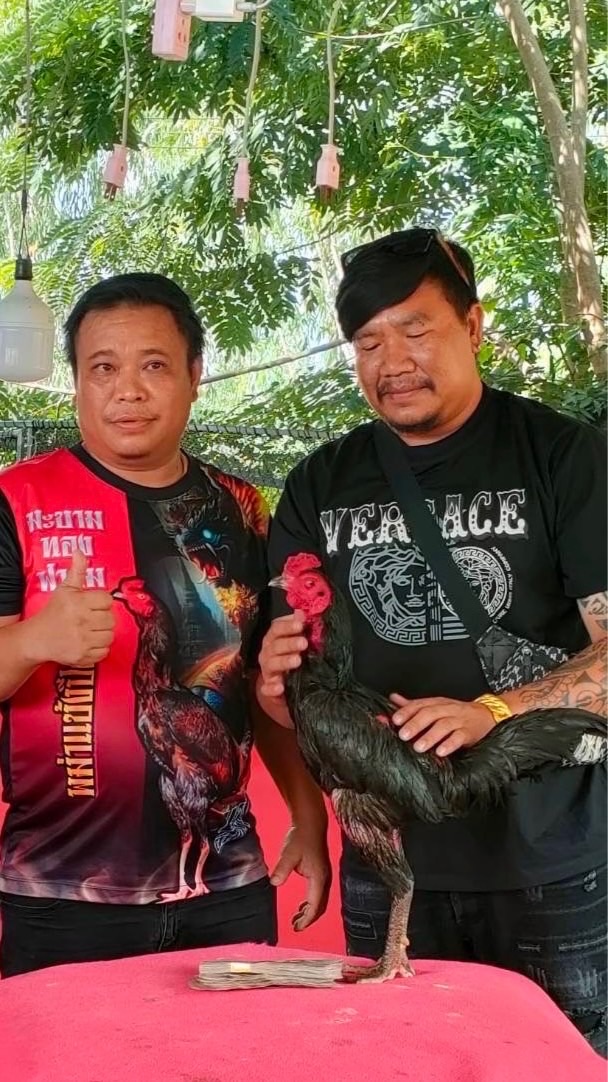 มะขามทอง ฟาร์ม  (สุรินทร์)