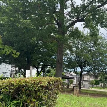 富士見台公園のundefinedに実際訪問訪問したユーザーunknownさんが新しく投稿した新着口コミの写真