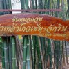 #ซุ้มหมอแว่นพม่าเหล่าโกวเซ้ม+จักริน#สามเอี่ยวก๋อยพัฒนา