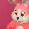 カサンドラ症候群、児相との関わり