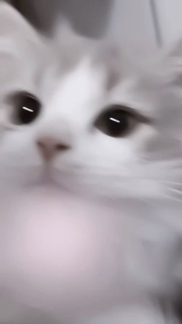 荒野行動 しよう‼️‼️