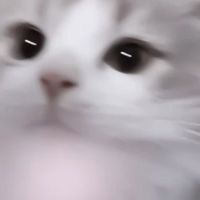 荒野行動 しよう‼️‼️