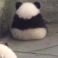 三乙エンデューロ