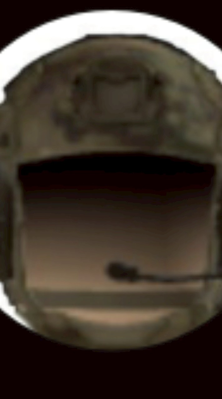 たぬえる　たぬき軍チャット