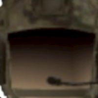 たぬえる　たぬき軍チャット