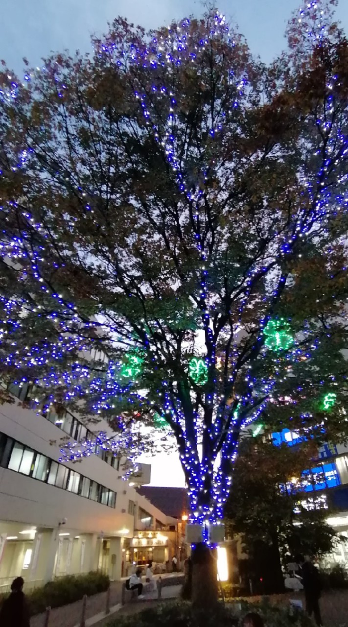 レシート君案内状