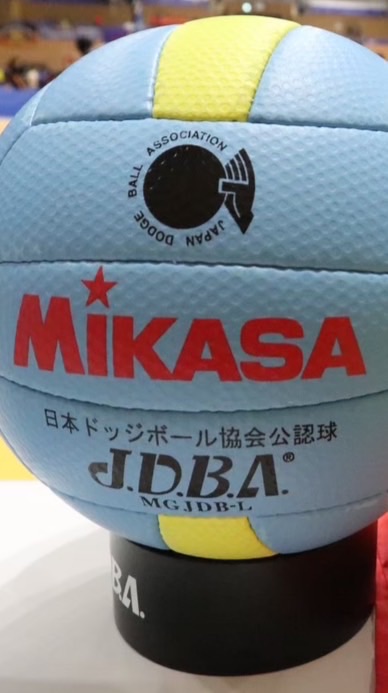 第29回郡山ドッジボール大会