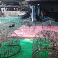ซุ้มธนารักษ์ พม่าตีเชิง