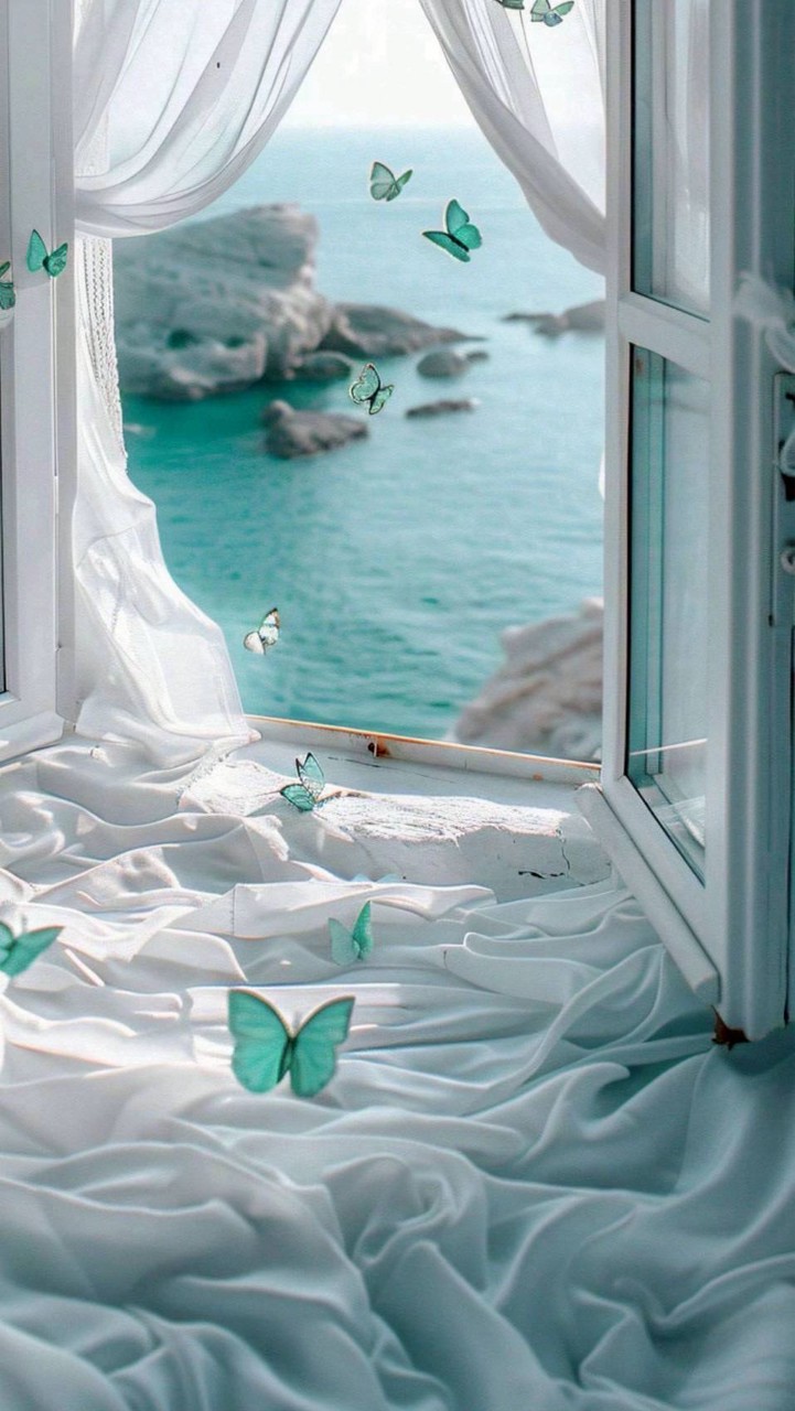 🫧宣拐の世界🫧