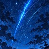 テスト50点以下の集まり