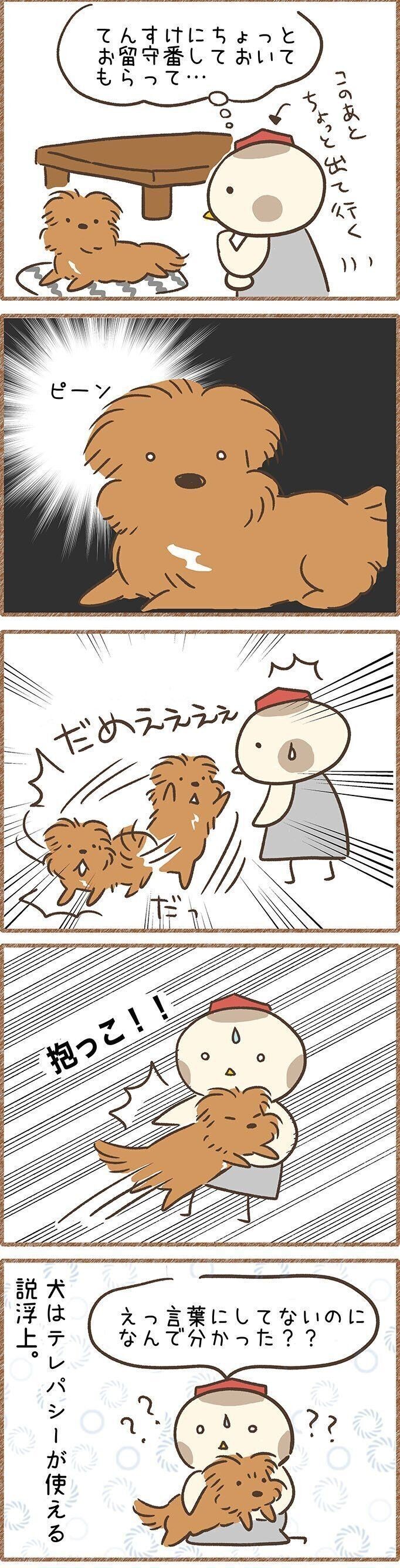 犬はテレパシーが使える 留守番をすぐに察知する犬 いぬのきもちnews