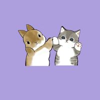 🐇🐱クリニック