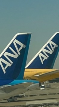 ANA(Inspiration of JAPAN) RFS架空会社