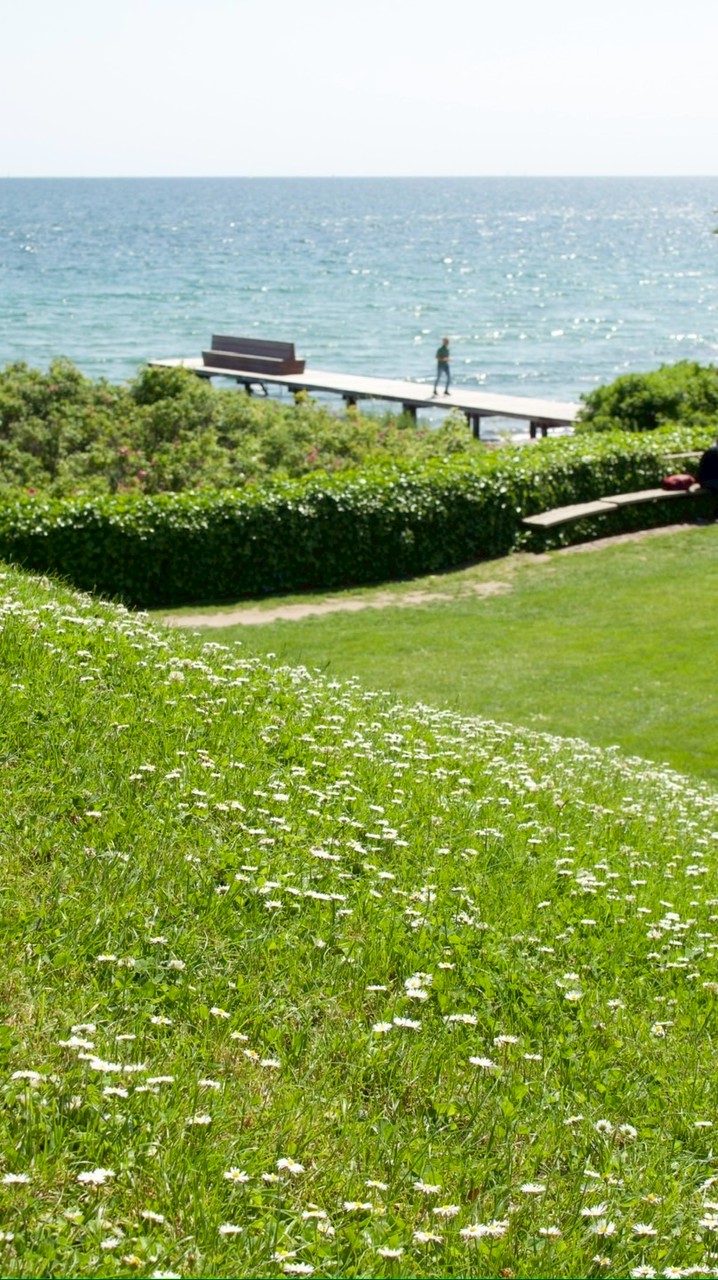 KoKoのデンマーク旅🇩🇰オンラインサロン