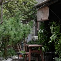 咖啡與茶旅行大小事