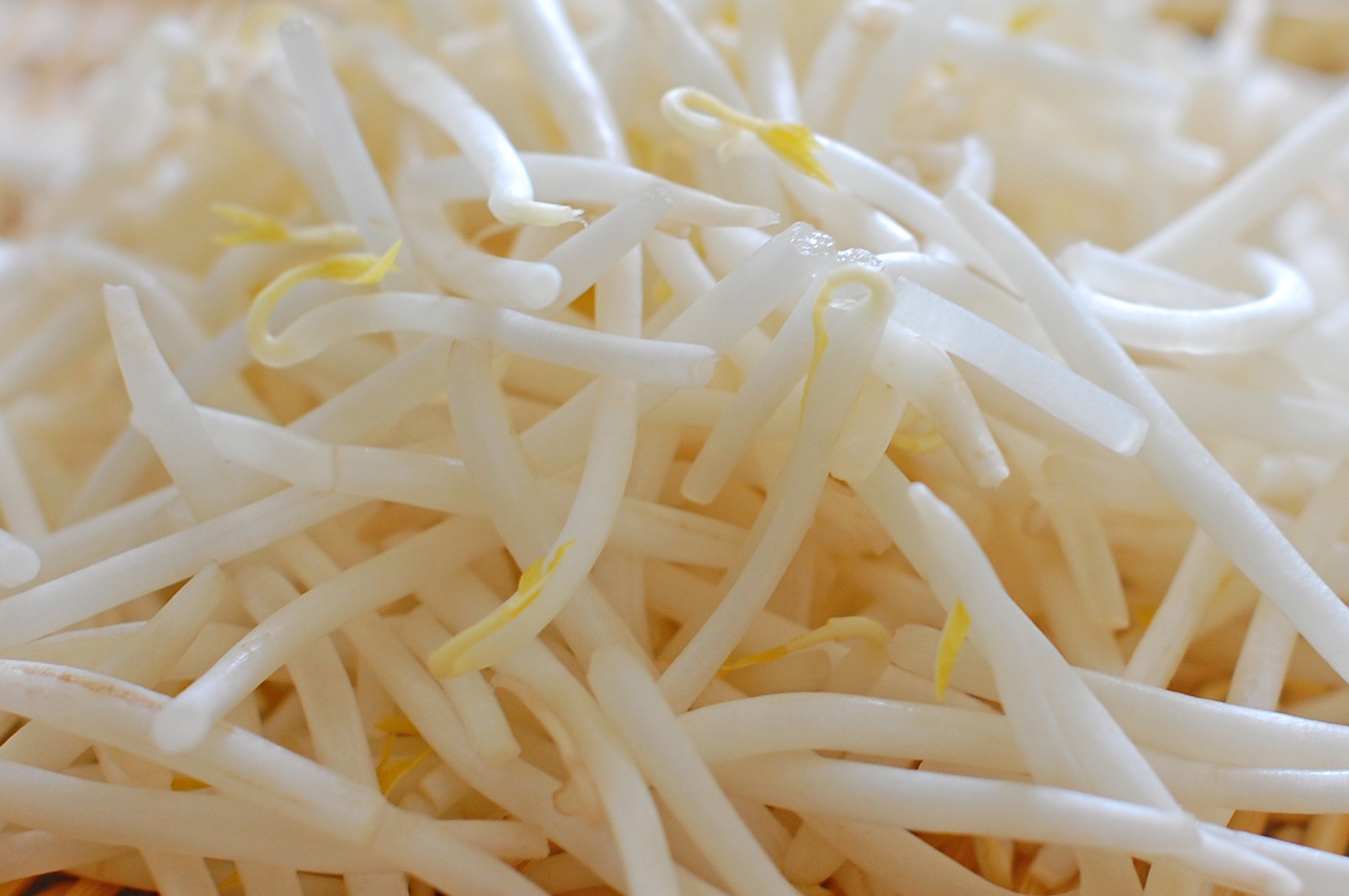 もやしを長く保存する方法とは