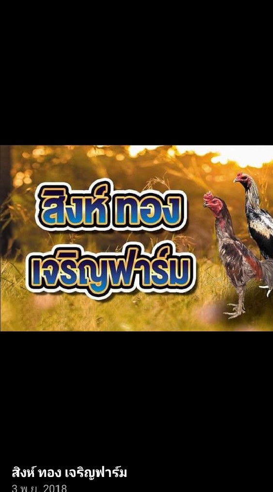 สิงห์ทองเจริญฟาร์ม