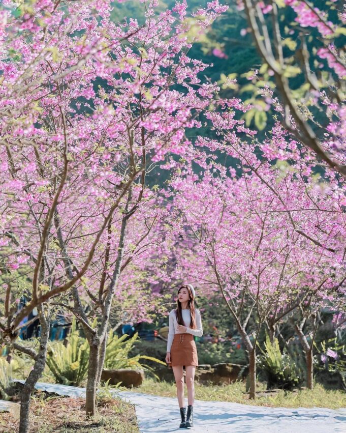 三峽老街一日遊 三峽老街一日遊｜文青、吃貨、探險，三條路線玩透三峽景點！精選必去秘境、美食、伴手禮 8 2022
