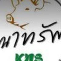 ลังโฟมคณาทรัพย์