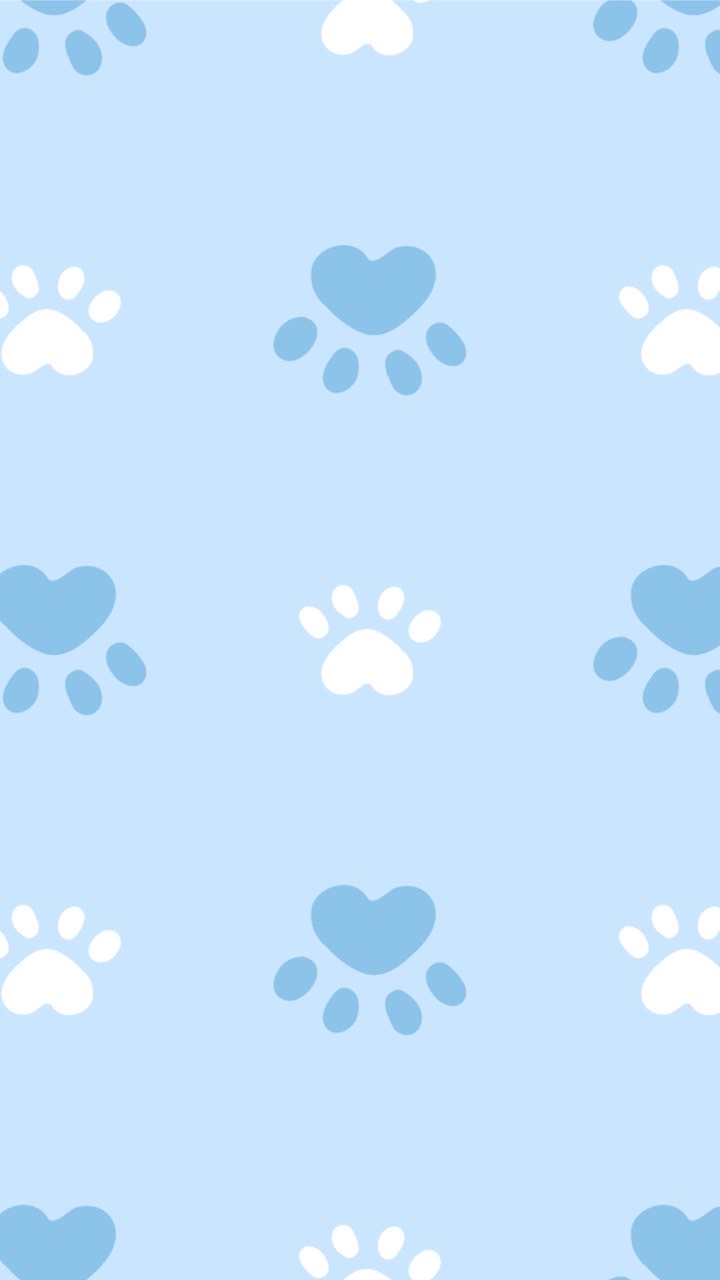 喵喵🐱