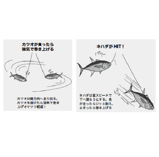 コマセカツオ、コマセキハダ仕掛けオーダー製作 盛りあがり