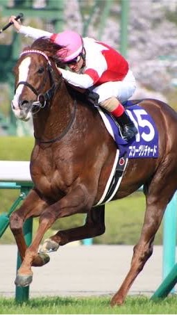 OpenChat 🔥競馬楽しみ場🔥