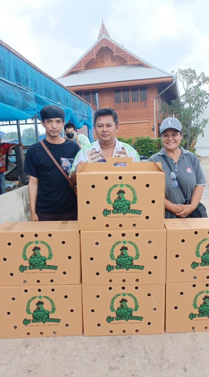 พม่ารำวง พม่าม้าล่อ สายเลือด ส.มีสุวรรณ 100%