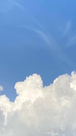 [ 鮮やかな音楽の花 ]