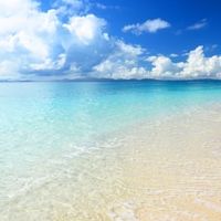 環境保護✖️ゴミ拾い✖️エシカル🌏【Pono Moana】
