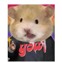 鼠鼠我啊，找鏟屎官囉！