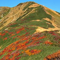 新潟　山遊び
