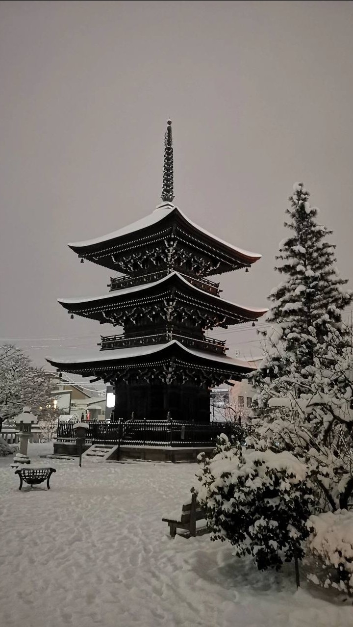 夢を築くチームB