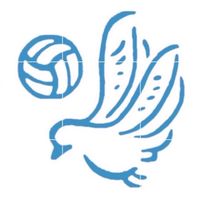 宇都宮大学バレーボール同好会新歓🏐