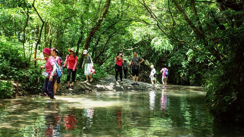 淡蘭古道中路-坪溪古道