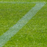 Musakaサッカースクール 西東京