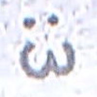我在摸魚