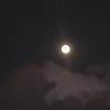 紅 一 点 の 奪 い 合 い !? ♡