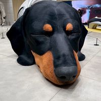 KAL週邊潮流社群🇰🇷🌟