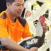 ป.ประยุทธฟาร์ม