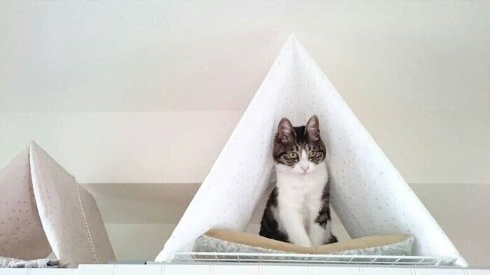 愛猫もきっと気に入る 簡単に作れる 猫テント