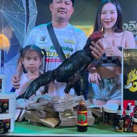 สองสิงห์ฟาร์ม168
