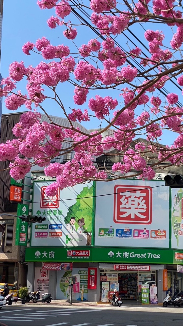 大樹藥局益民店好康分享