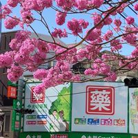 大樹藥局益民店好康分享