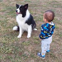 家庭/親子/育兒）玩具、遊戲