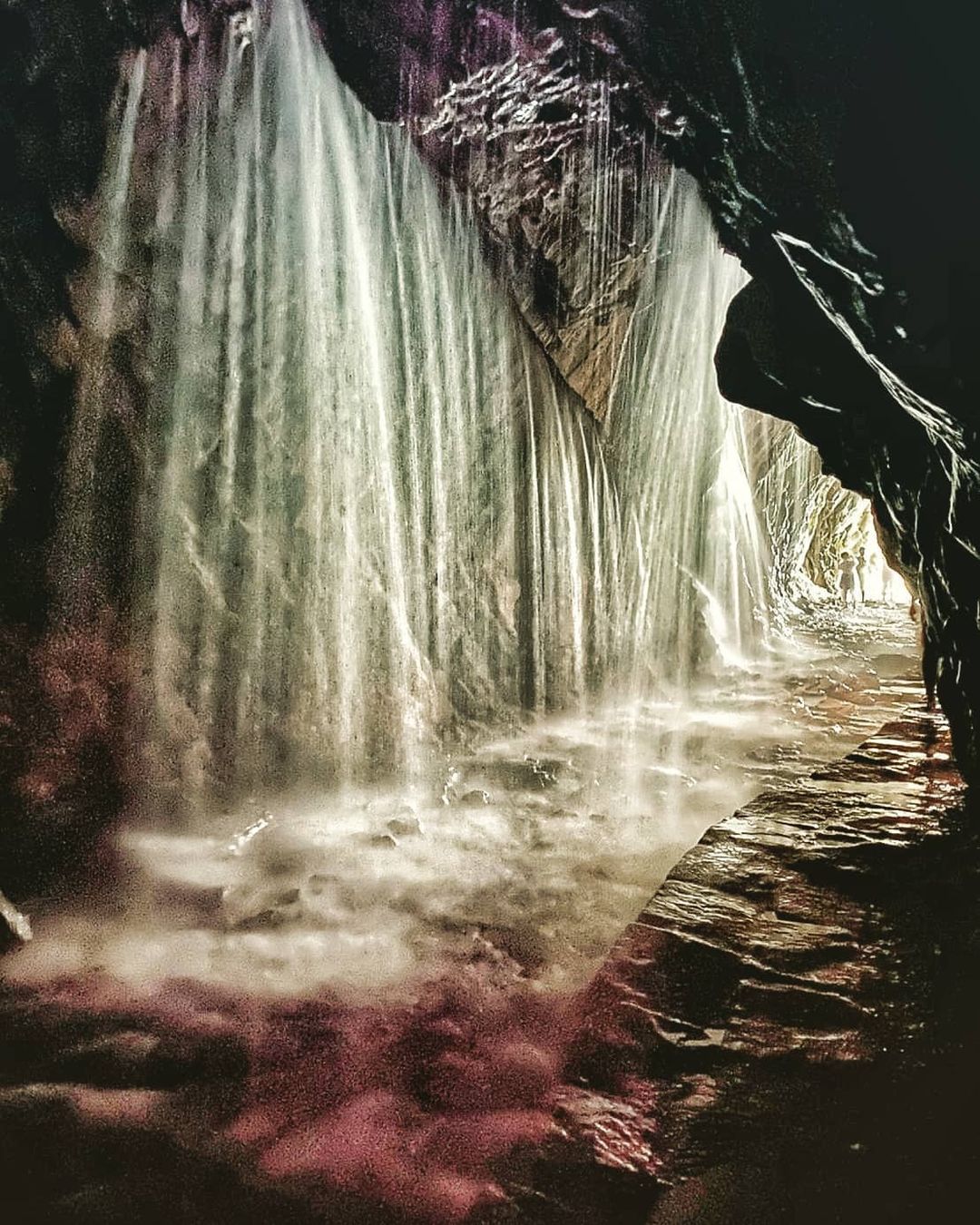 白楊步道 @pimeiii