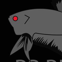 PPbetta