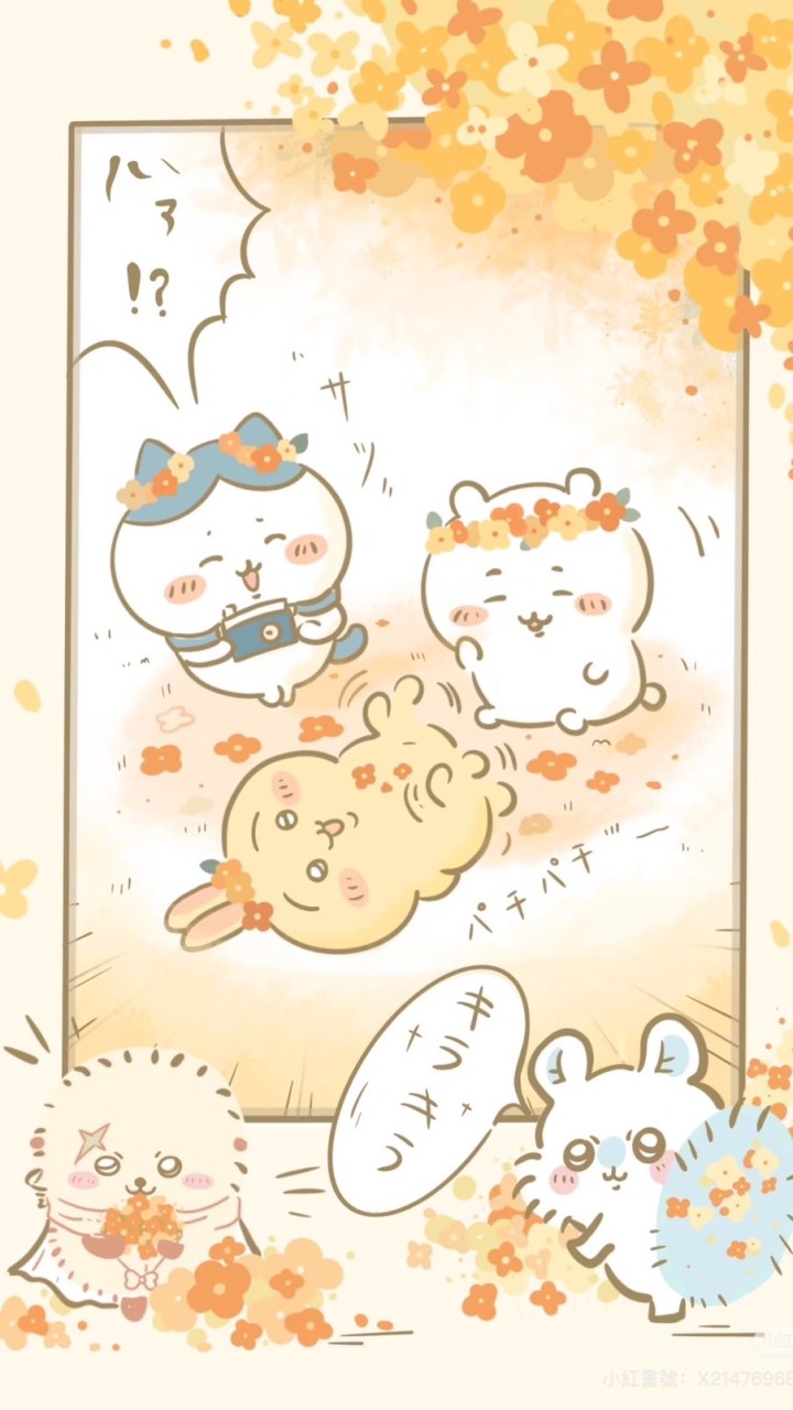 宅宅の代購✨