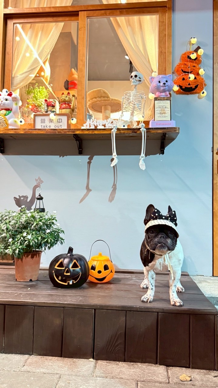 Twinko 日本快閃連線