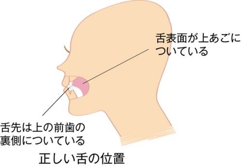 あなたは二重あごになりやすい 要因をチェック 森 拓郎さん伝授