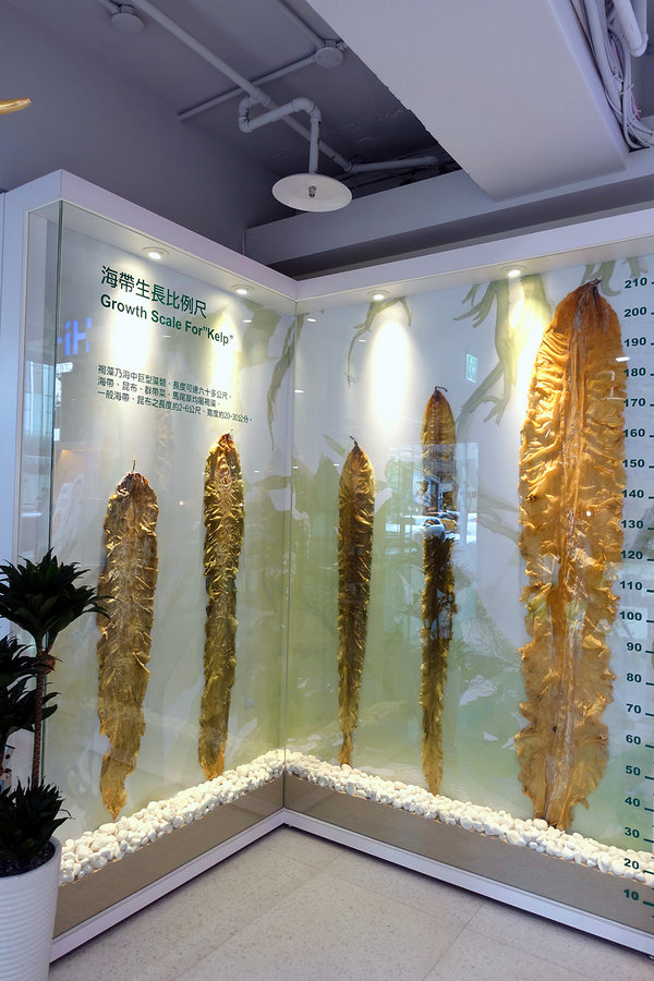 Hi-Q褐藻生活館Hi-Q鱻食，南京三民站不限時餐廳，文創、購物、美食、活動場地租借，網美必備美食養顏鍋，免費WIFI及插座咖啡紅茶免費喝